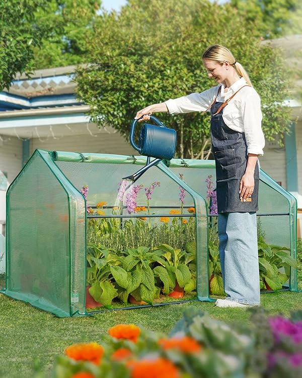 Quictent Mini Greenhouse, Portable Quick-Setup Small Tabletop Waterproof UV Protected PE Cover Shelter for Outdoors/Indoors W/ Raised Base for Garden Plant Seed Starting, 71"x36"x36", Green by Quictent - Image 2