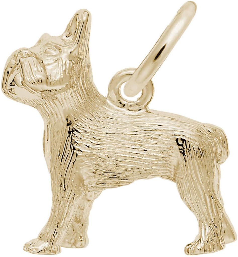 Rembrandt French Bulldog Charm