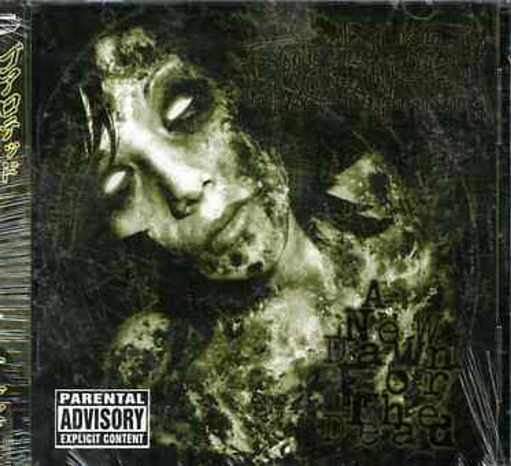 A New Dawn For The Dead [VINYL]
