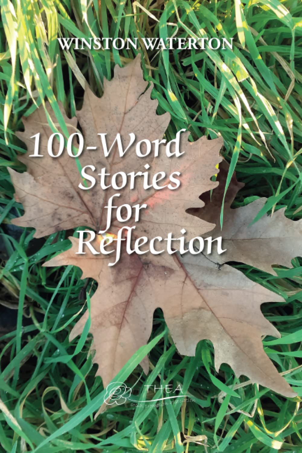 100-Word Stories for Reflection