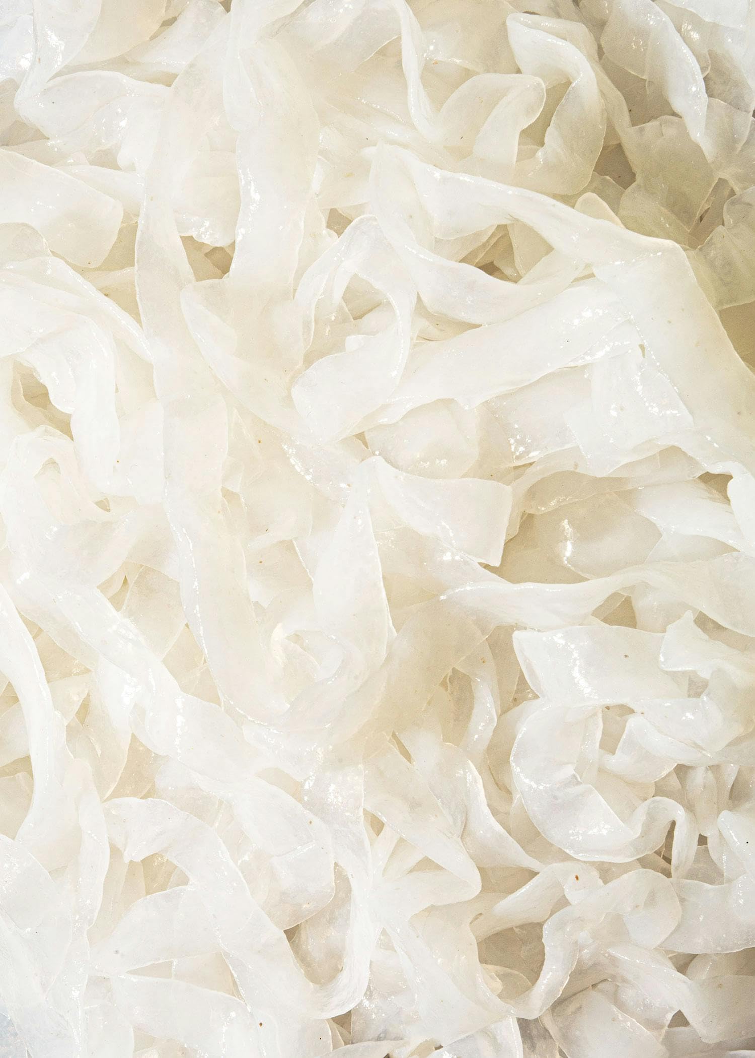 KoRo - Bio Konjak Fettuccine in Wasser 1 kg - Kalorienarm - Vegan - Verzehrfertig