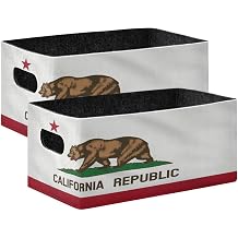 California State Flag Rectangle Storage Baskets 2 Pack Sturdy Organizer Bins for Bedroom, Office, Closet, Clothes