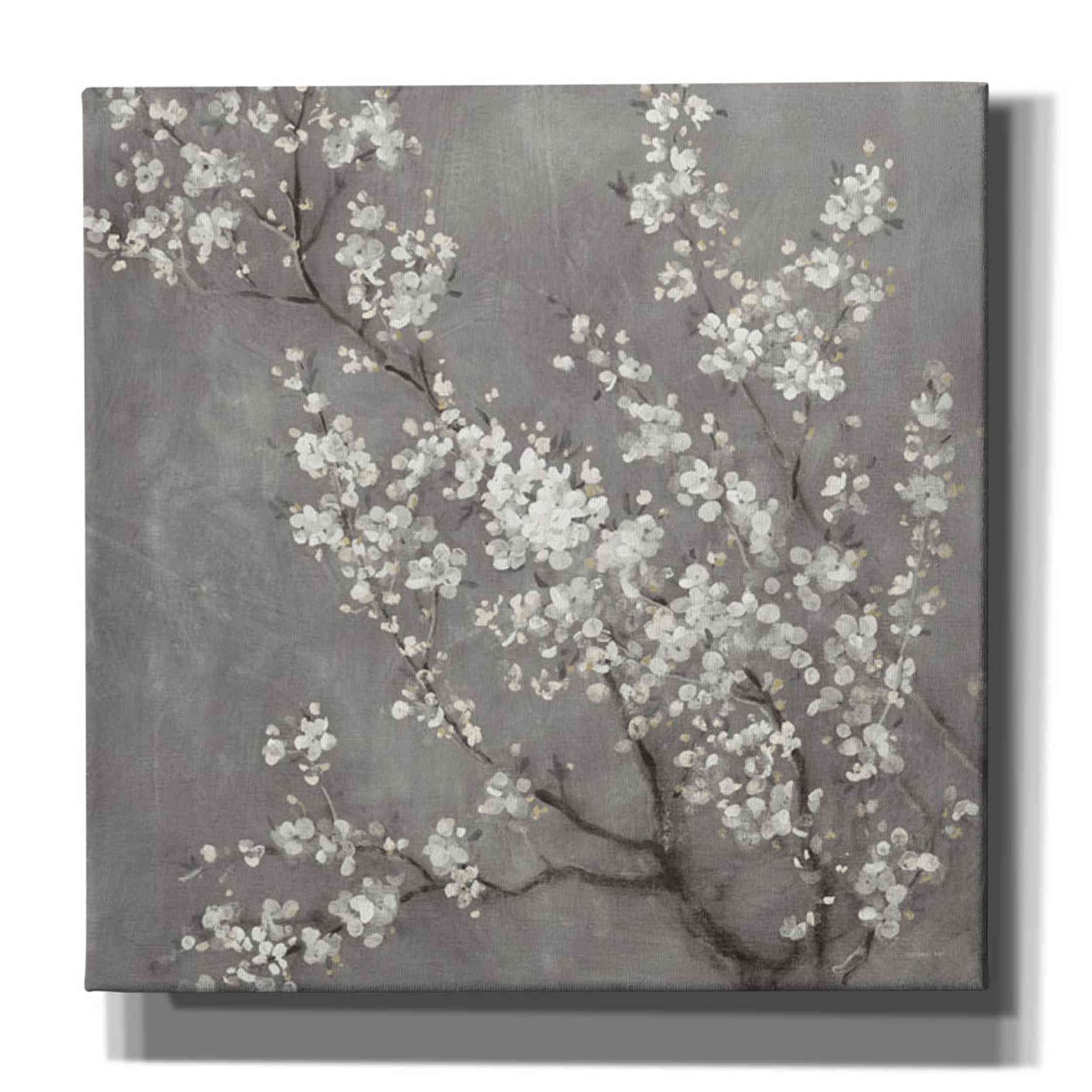 Epic Graffiti 'White Cherry Blossom II on Grey' by Danhui NAI Canvas Wall Art, 26 in x 26
