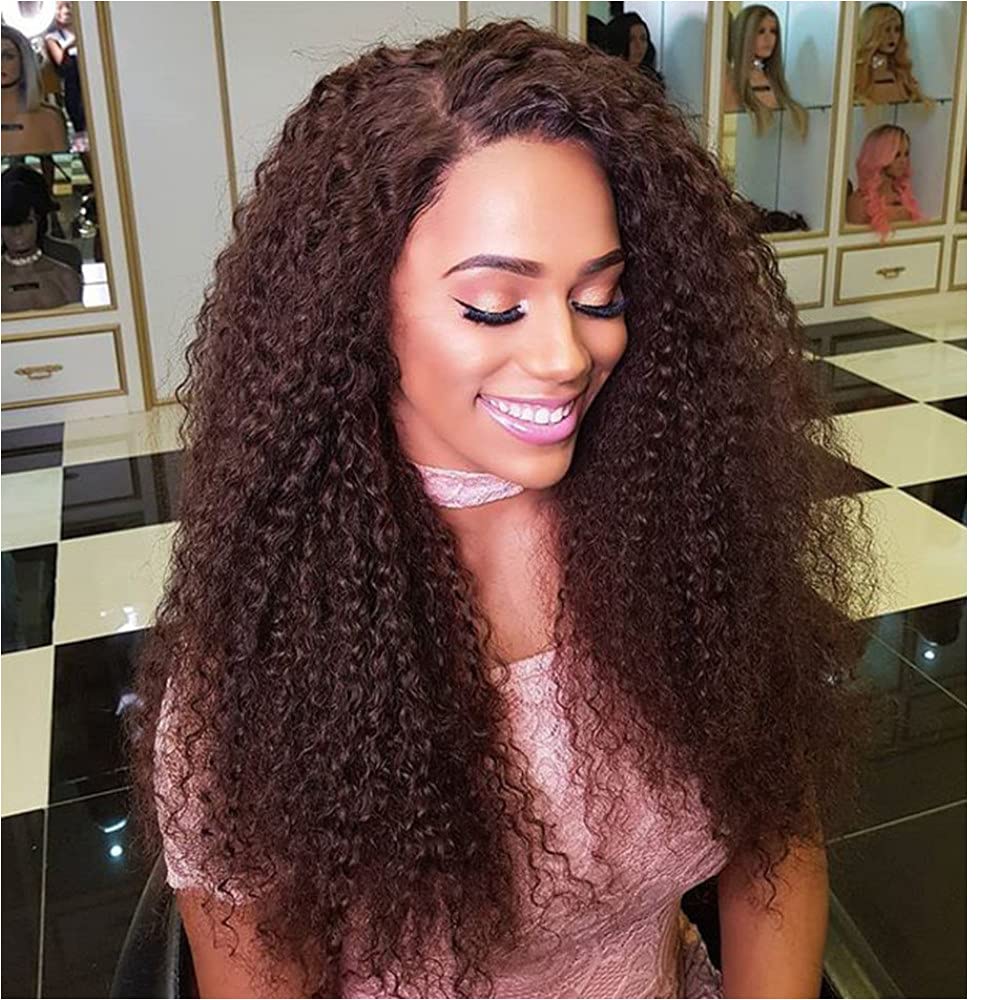 Amazon.com : Kinky Curly Lace Front Human Hair Wig Dark 