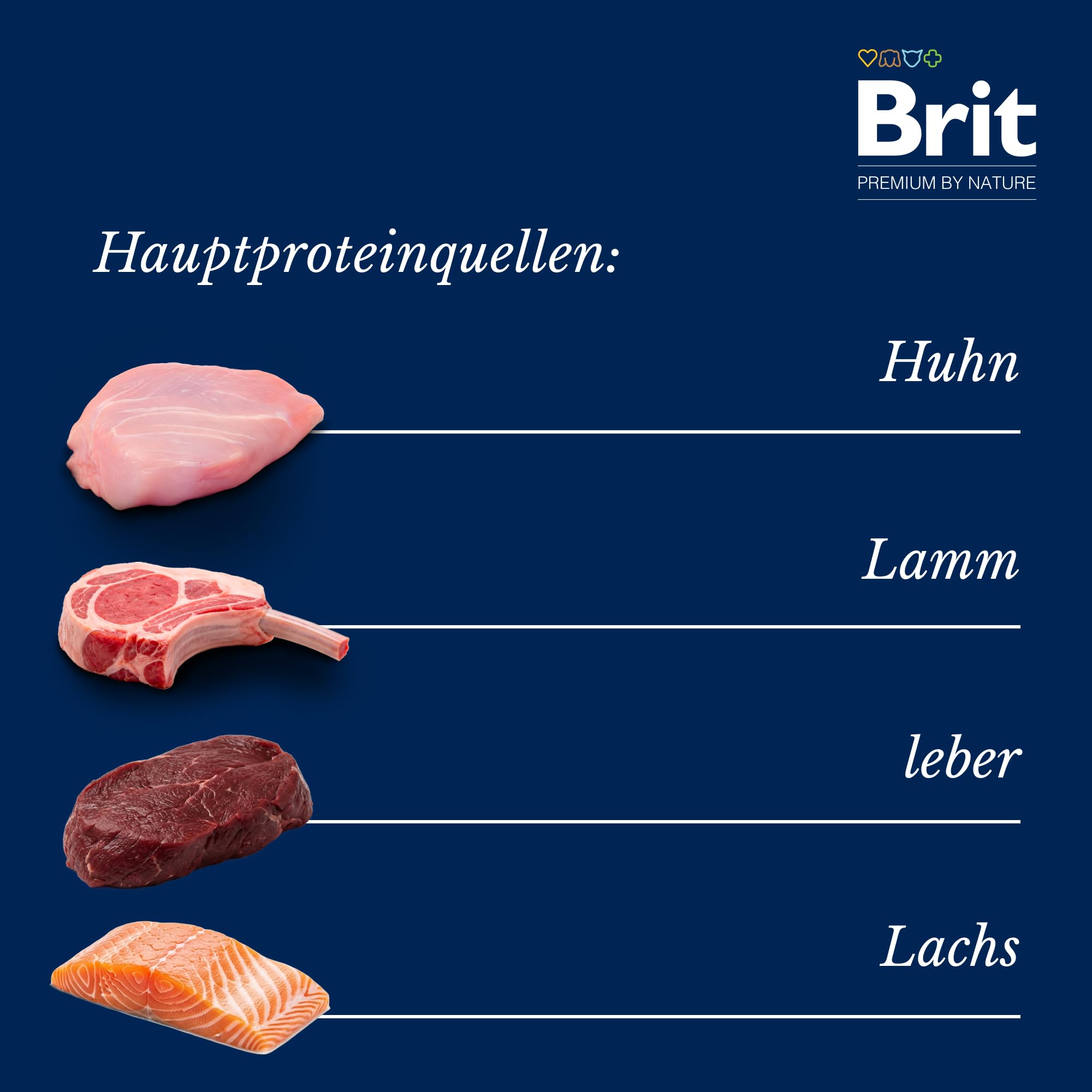 Brit Premium Nassfutter für Katzen, Sparpaket, 4 Sorten, 40 x 100 g | Cremige Textur, gut verträglich, in Dosen, angereichert mit Nährstoffen, 4 Sorten, mit Fisch & Fleisch, Sparpaket