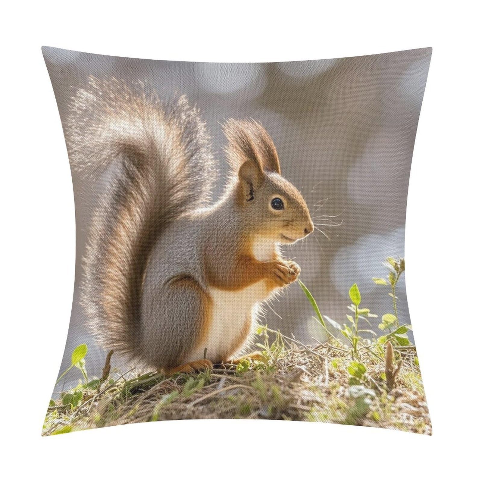 FekiLoot Squirrel Animal Throw Pillow Cover Soft Square Cushion Case Farmhouse Cushion Cover Decorative Pillow Cover Modern Pillowcase for Sofa Living Room Bed Home Decor 18x18 Inch