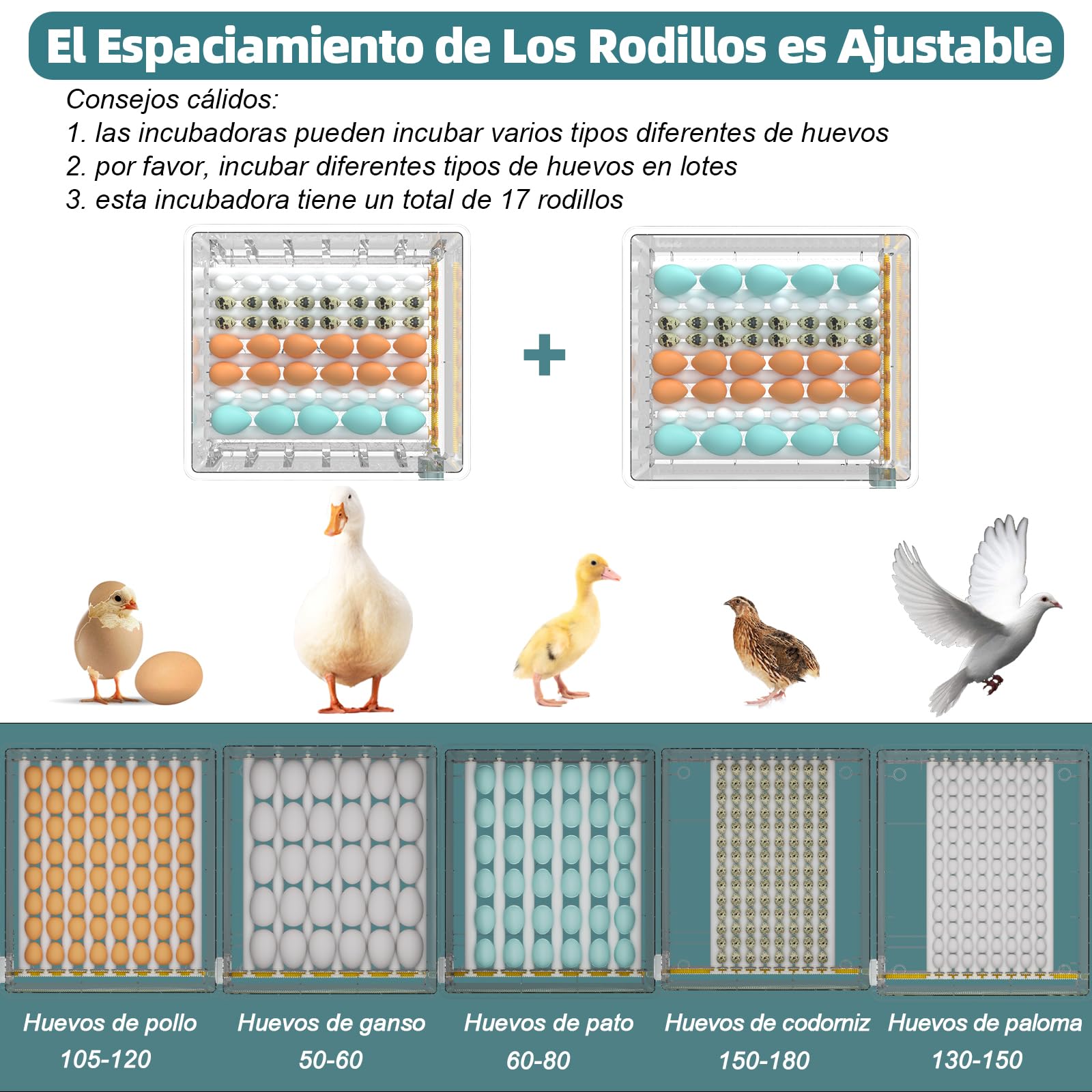 Incubadora Huevos Gallina, Incubadora de 120 Huevos, Incubadora Automática con Monitoreo de Humedad, Volteo Automático de Huevos y Lámparas de Huevo