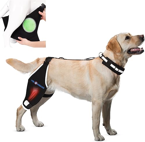 Rodillera para perro para desgarro de ACL para piernas traseras con compresa calientefría, soporte ajustable para cadera de perro para desgarro de