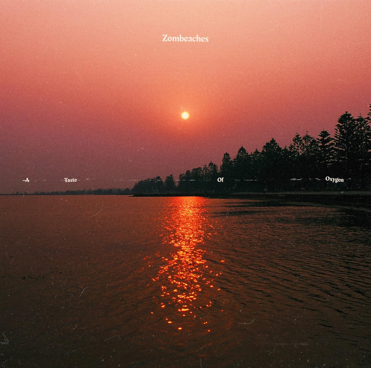 A Taste Of Oxygen [VINYL]