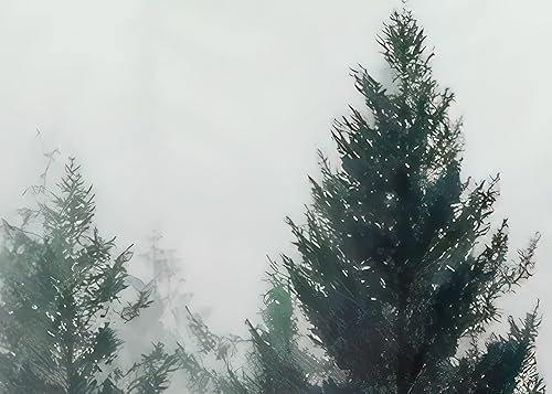 Miniatura 8 de Murwall Dark Forest Wallpaper Misty Jungle Wall Mural Landscape Wall Print Rustic Home Decor Cafe Design Living Room Bedroom