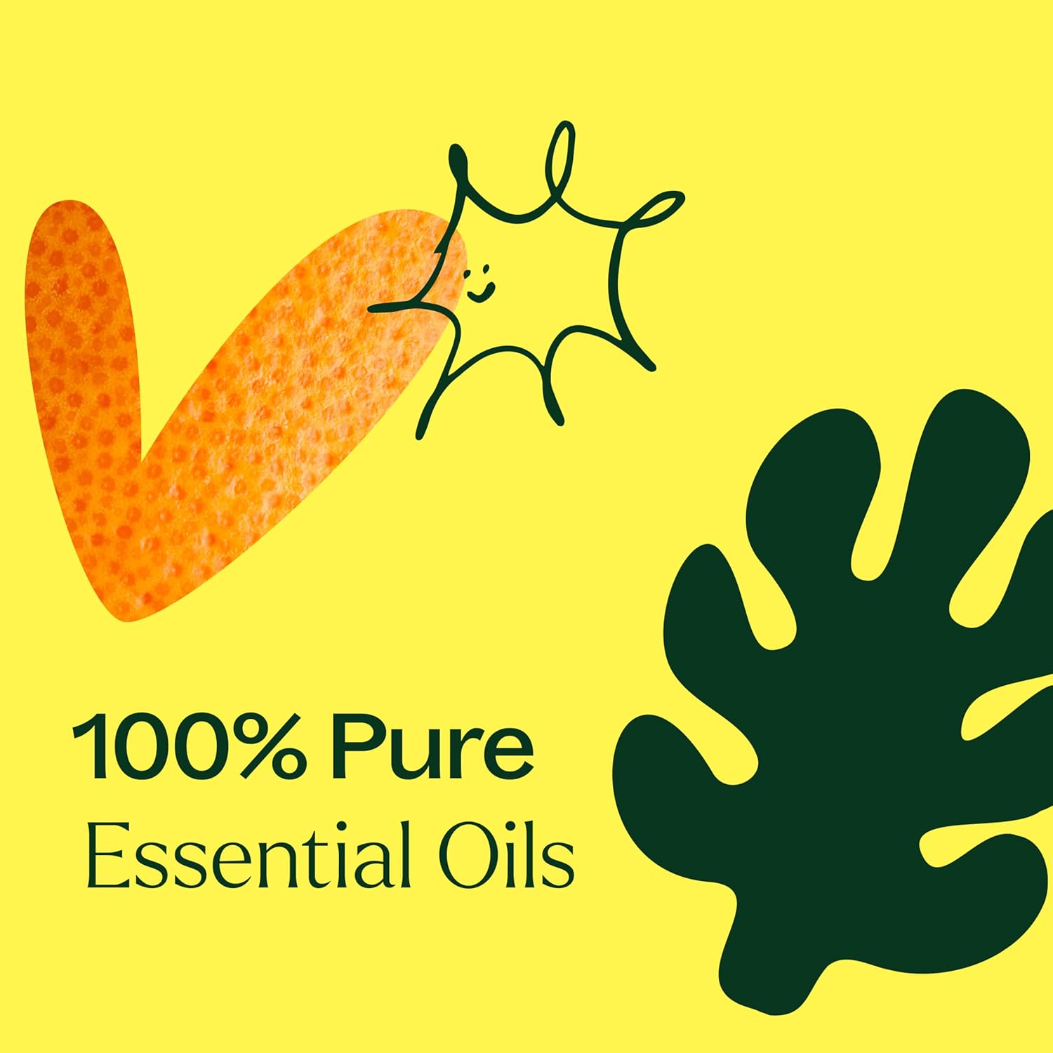 Plant Therapy Tropical Scents Home Set of 3 Essential Oil Blends Including Natural Scents to Scent Your Home with Honeybell, Lime in The Coconut & Tropical Passion 10 mL (1/3 oz) Each