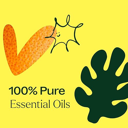 Miniatura 5 de Plant Therapy Tropical Scents Home - Juego de 3 mezclas de aceites esenciales que incluyen aromas naturales para perfumar tu hogar con campana de