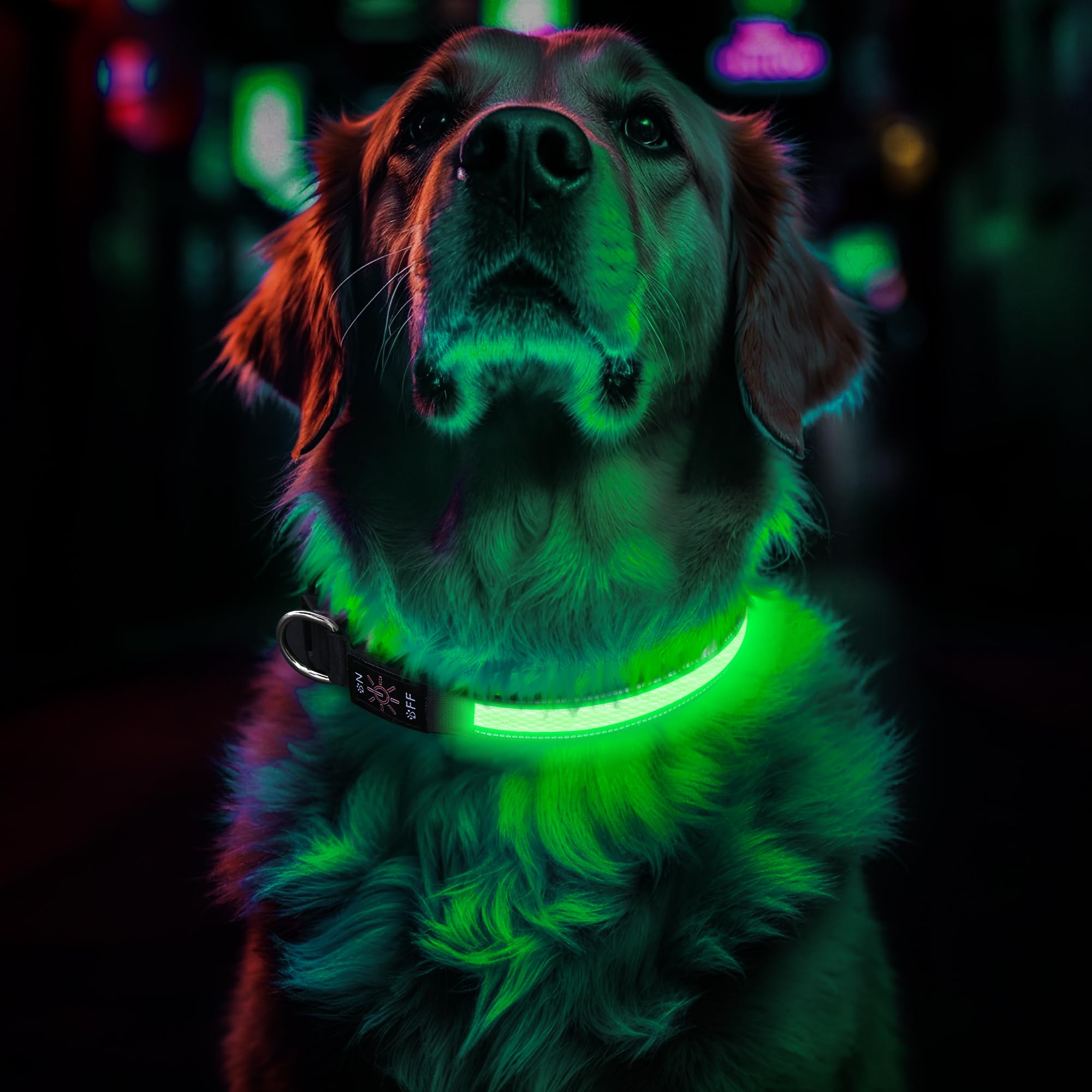 Collare per cani a LED, ricaricabile con luci USB, regolabile, in morbida rete, impermeabile IP67, per cani di taglia piccola, media e grande, verde, grande