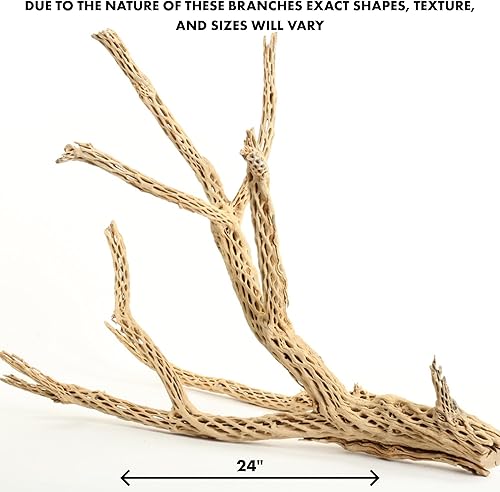 Miniatura 3 de Koyal Wholesale 24 pulgadas de madera cholla acuario leopardo Gecko tanque accesorios sin tratar grande madera flotante para acuario madera ermitaño