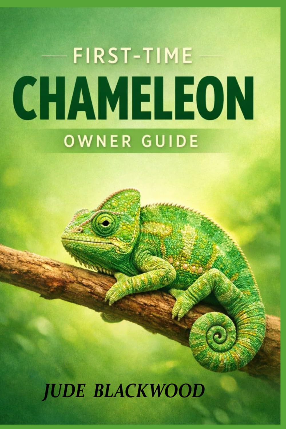 First-Time Chameleon Owner Guide: Care Basics, Common Mistakes, and Gentle Bonding Practices