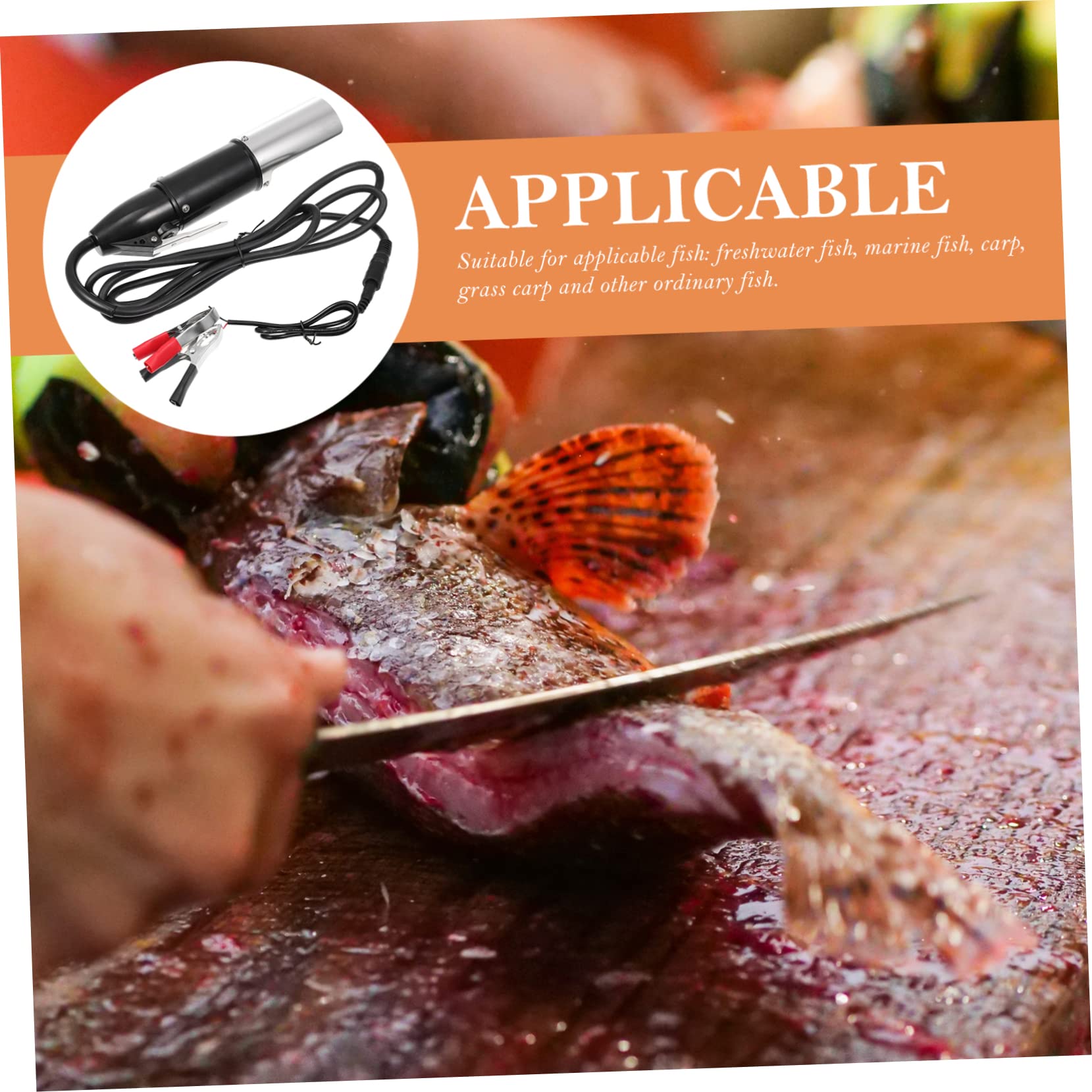 Ciieeo Raspador Eléctrico de Escamas de Pescado Portátil Motor de Acero y Batería de Litio, Fácil de Limpiar Dañar la Textura del Pescado, Adecuado para Carpas y Peces de Agua Dulce