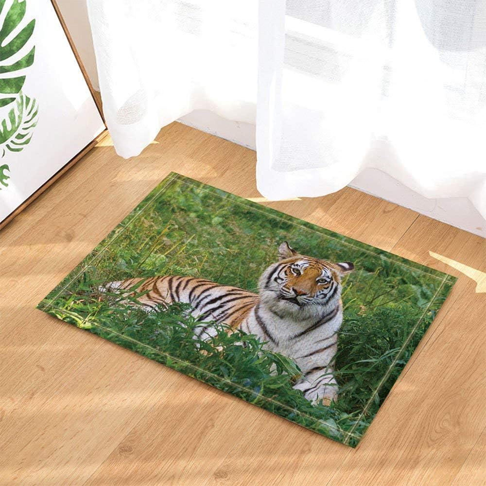 HTSJYJYT Safari Decor Wild Animal Tiger Lies on the Grass of Green Forest Bath Rugs Non-Slip Doormat Floor Entryways Indoor Front Door Mat Kids Bath Mat 60X40CM Bathroom Accessories