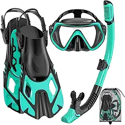 wutrye Equipamento De Mergulho Com Snorkel Para Adultos, Conjunto De Máscara E Nadadeira De Mergulho Com Snorkel, Snorkel De Topo Seco, Kit De Mergulho Com Snorkel, Pacote De Viagem Para Mergulho, V