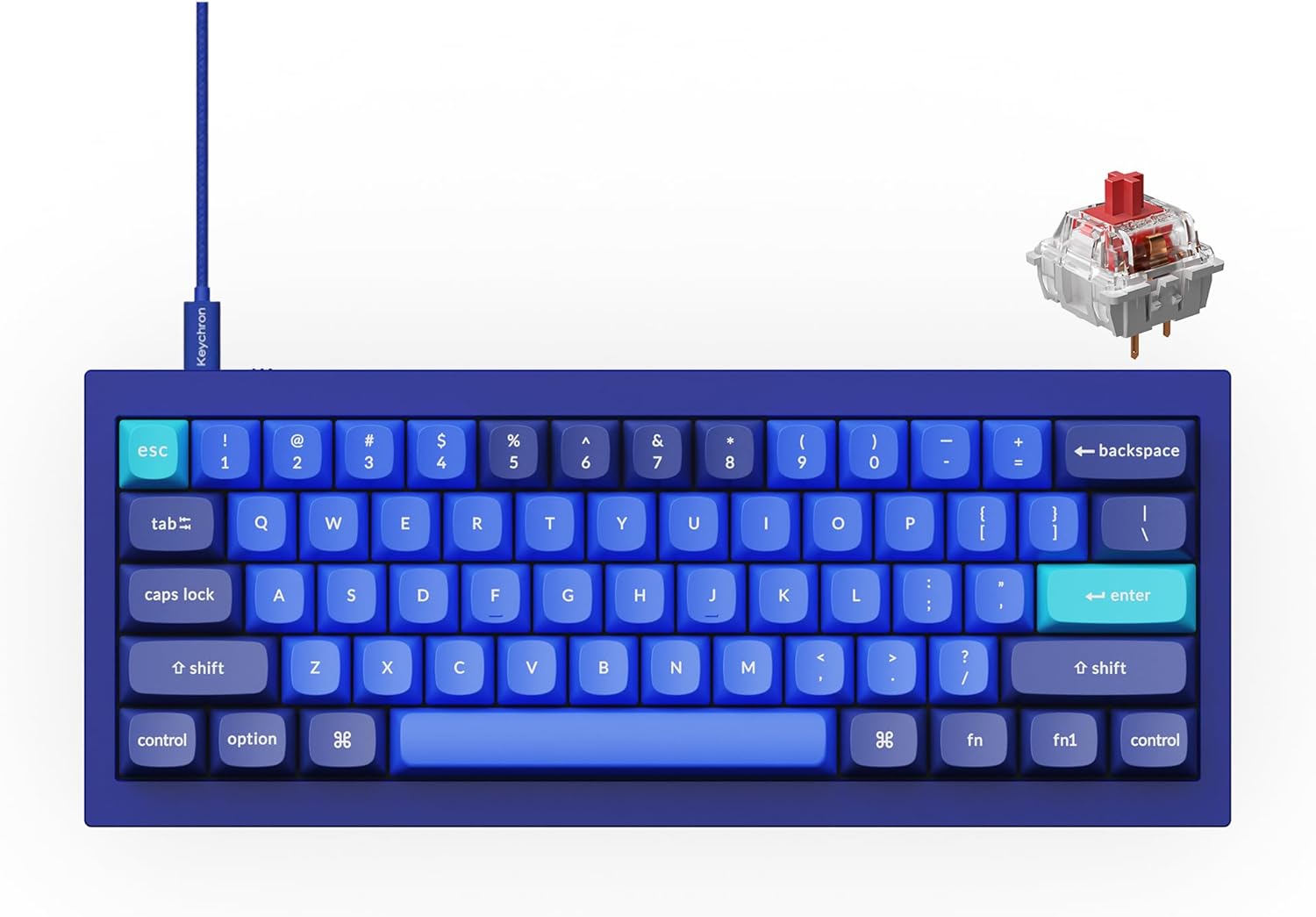 Keychron Q4 Wired Custom Mechanical Keyboard, 60% Layout QMK/VIA Programmable Macro with Hot-swappable Gateron G Pro Red Switch Double Gasket Compatible with Mac Windows Linux (Navy Blue)