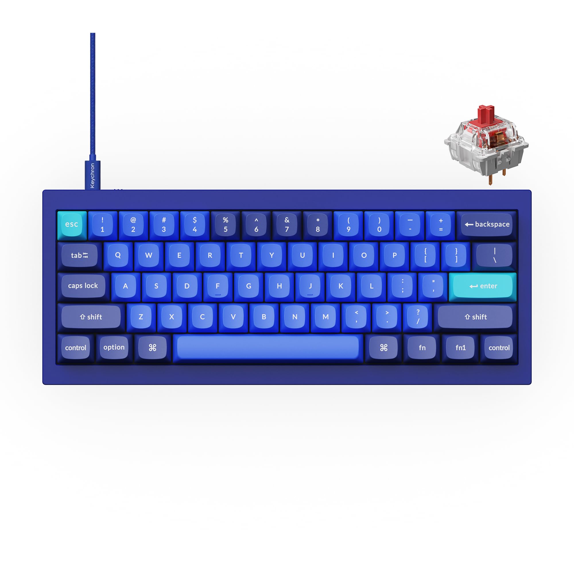Keychron Q4　VIA RGB Blue Switch アルミキーボード Amazon.com: Keychron Q4 Wired Custom Mechanical Keyboard, 60