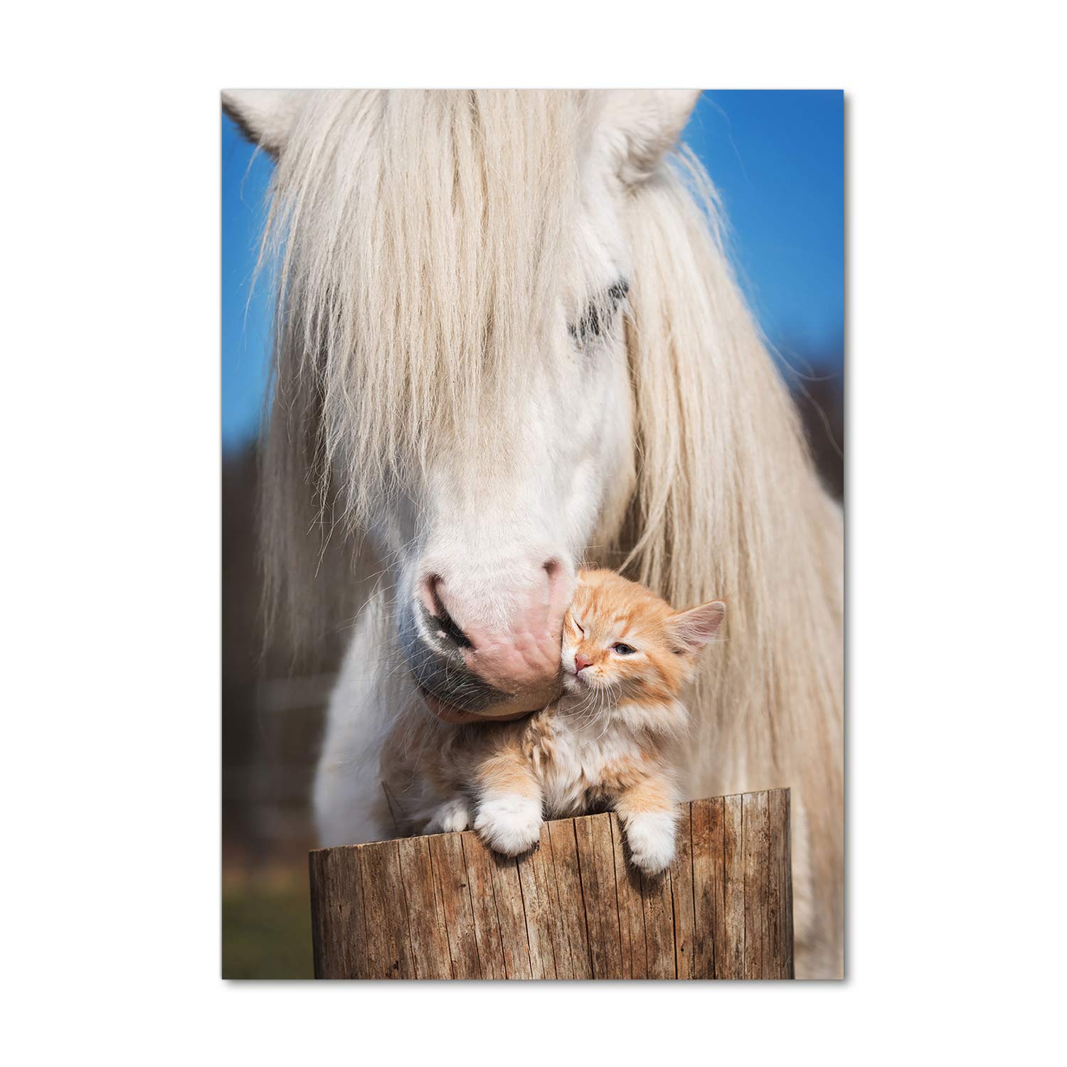 Image sur verre de cheval blanc Tulup 70x100 pour sublimer votre salon