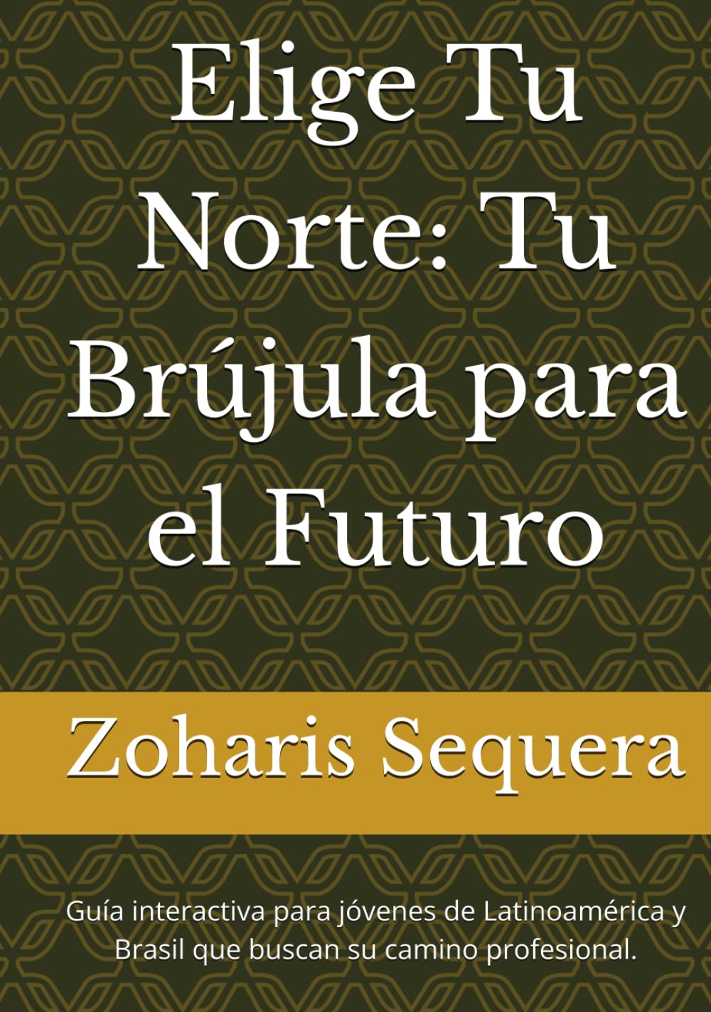 Elige Tu Norte: Tu Brújula para el Futuro: Guía interactiva para jóvenes de Latinoamérica y Brasil que buscan su camino profesional.