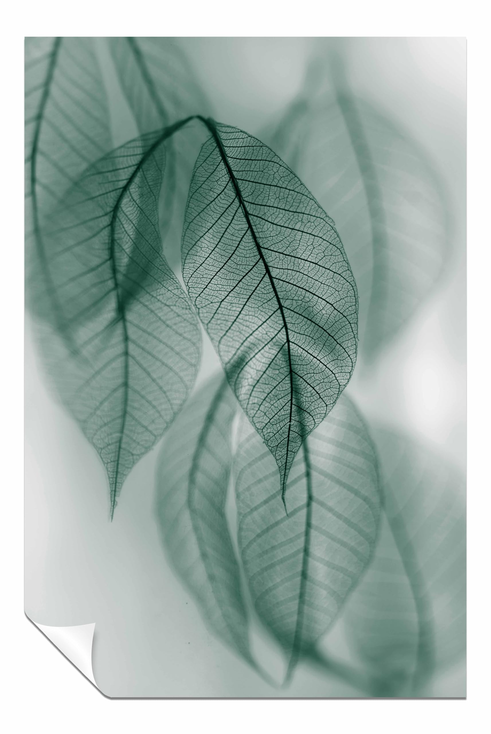 Leaf Unframed Poster Print, Pictures for Home Walls, Bedroom, Living Room & Bathroom Decor 91x61cm (36x24in)