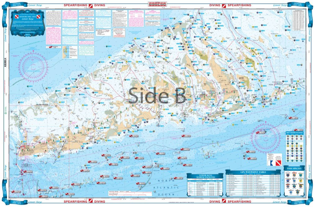 Erie Fishing Map, Lake-Eastern Basin (NY/PA Line-Sturgeon Point) Fishing Map