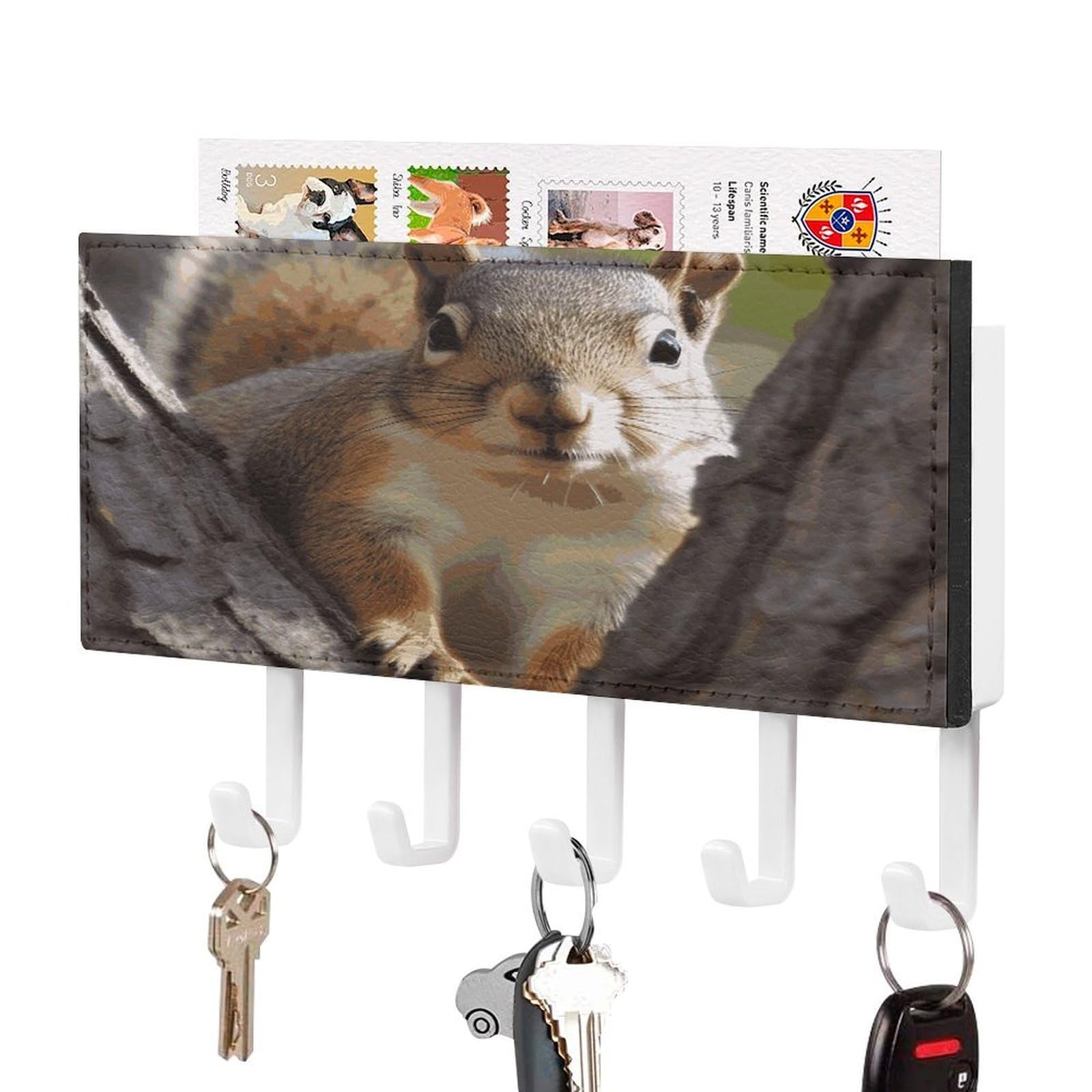 LDGSUPH Squirrel in The Tree Key Holder Wall Mount Key Hanger with 5 Hooks Fashion Key Organizer Rack Hanging Key Hooks with Mail Organizer Key Rack for Home Entryway Hallway White-Style