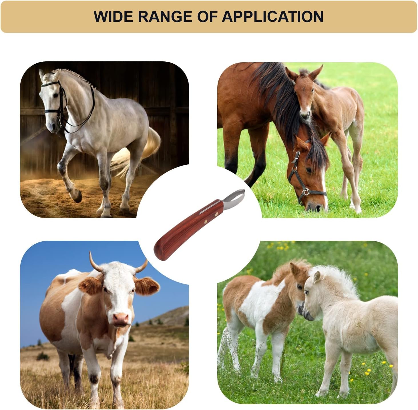 KUIDAMOS Hoof Knive Razor,Farrier Hoof Loop Knife Farrier Supplies Stainless Steel Blade Rubber with Wood Handle Cattle Horse Hoof Cutter for Farrier Tool : Pet Supplies