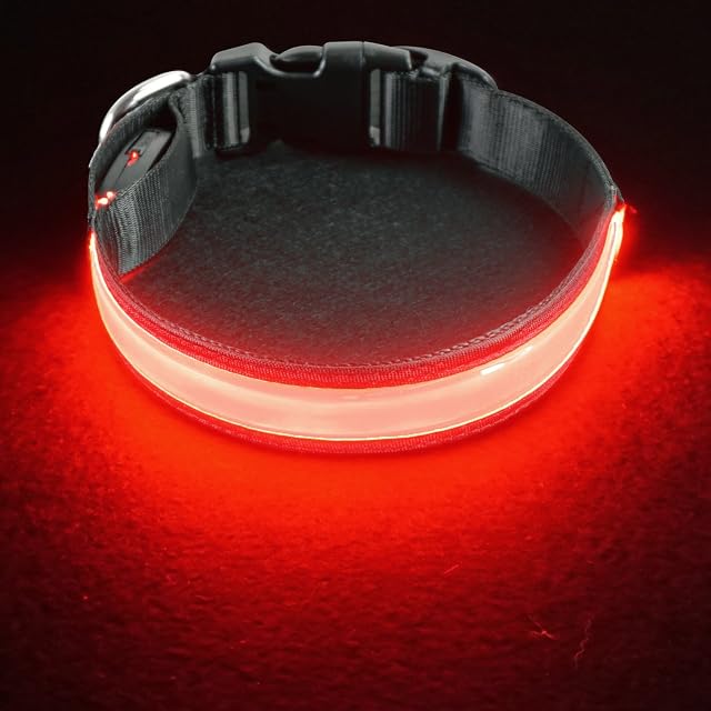 PetIsay Ultimate LED Dog Collar - USB Rechargeable with Water Resistant - Reflective Light up Dog Collar Flashing Light - Adding Safety to Night-time Walks - 5 Colours, 4 Sizes(Red, Medium)