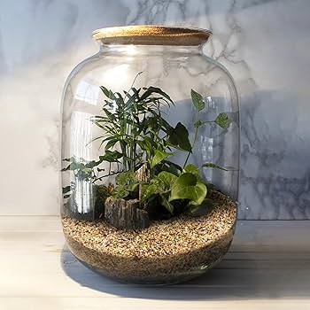 Amazon.co.jp: 18ポンドの天然粗い砂、植物用岩、装飾石、水槽用