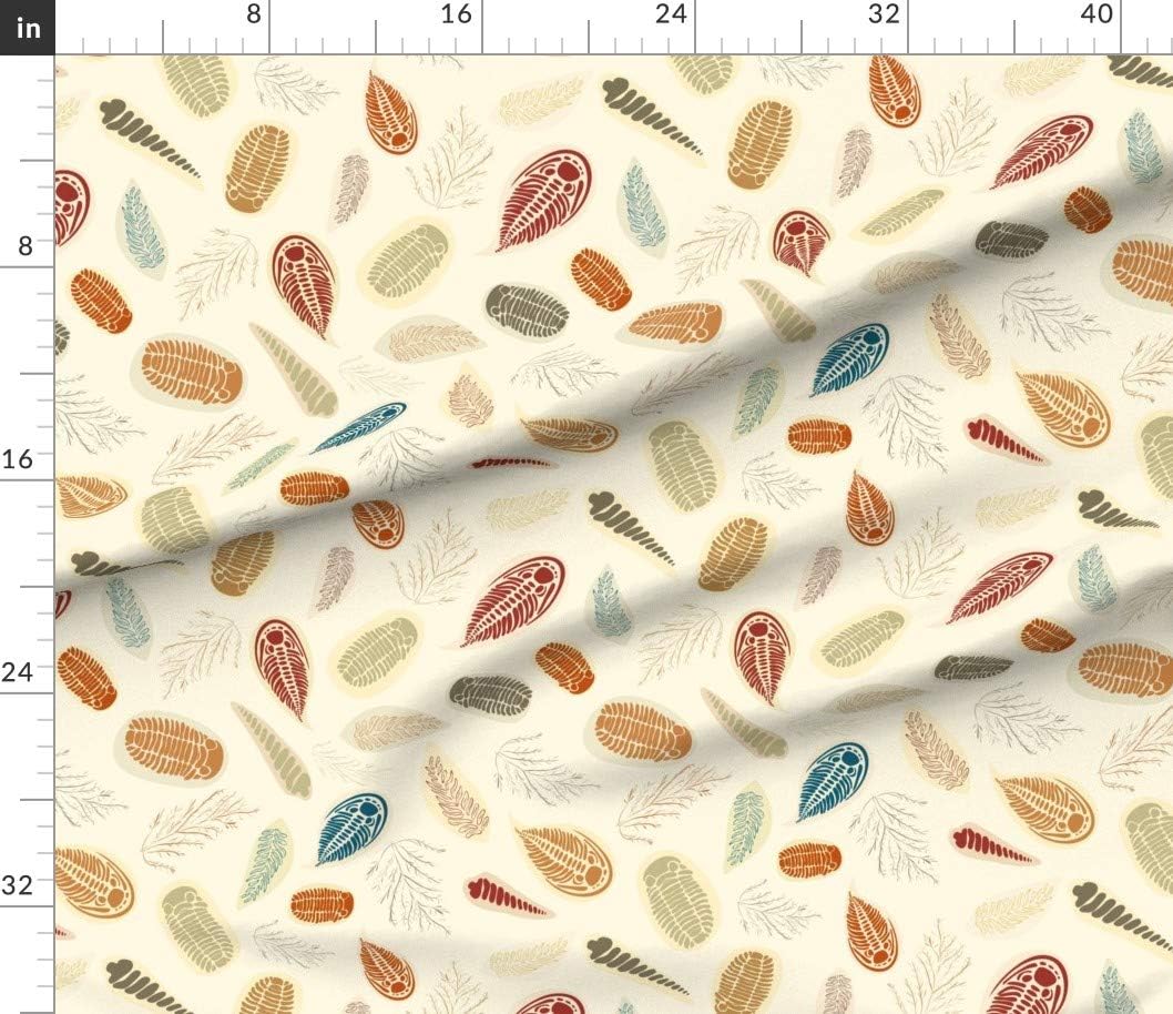 Spoonflower Fabric - Large Archaeology Fossils Geology Rocks Geode Ancient Science Printed on Petal Signature Cotton Fabric by The Yard - Sewing Quilting Apparel Crafts Decor