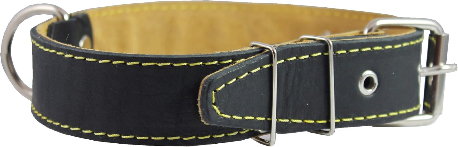 Real Thick Leather Dog Collar 16"-22" Neck Size, 1.5" Wide, Amstaff, Pitbull