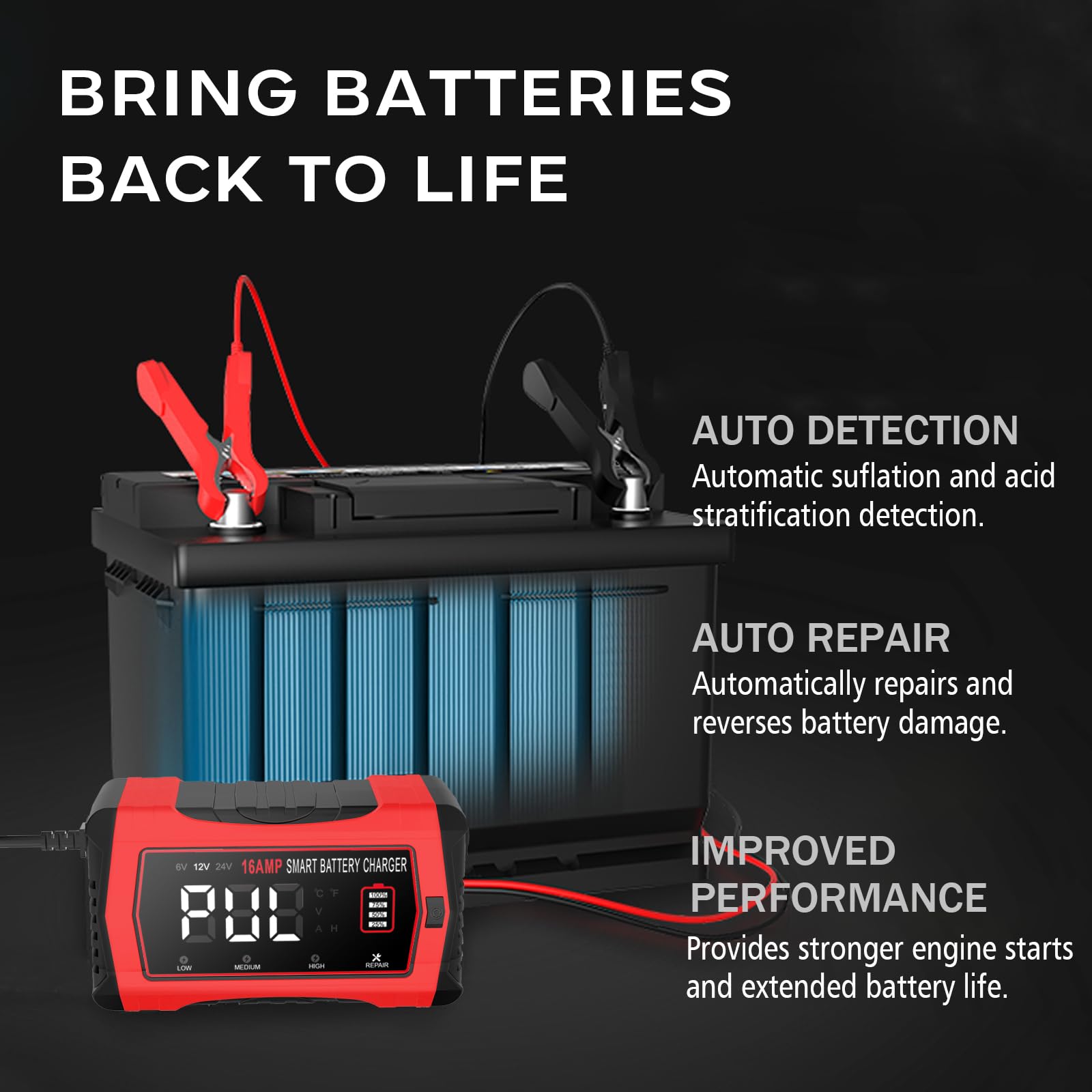 Caricabatterie LiFePO4 da 16 A, 12 V e 24 V, mantenitore intelligente per auto con 10 fasi e compensazione della temperatura