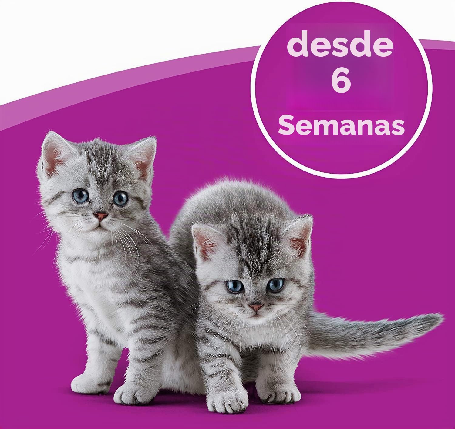 Whiskas Leche para Gatos a Partir de 6 semanas, 15 Botellas, 15 x 200 ml – Delicioso Aperitivo para un Gato Feliz, lactosa Reducida y fácil de digerir, 3 l (1 Unidad)