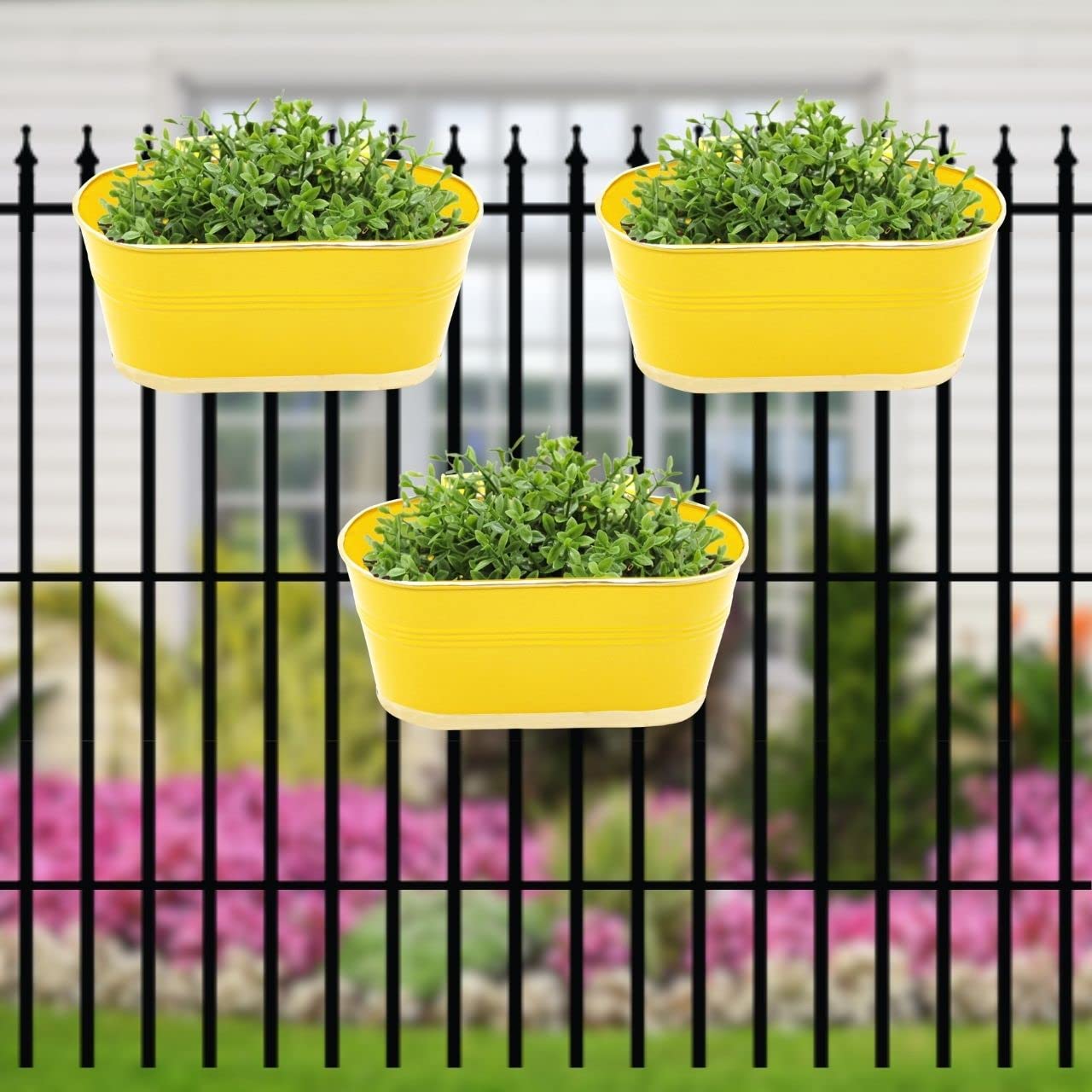 ecofynd Aurelia Balcony Planters, Metal Railing Plant Holder, Flower Pots for Home Garden, Oval,12 inches, Pack of 3 (Shine) (B07MLDQBQK) Amazon Price History, Amazon Price Tracker