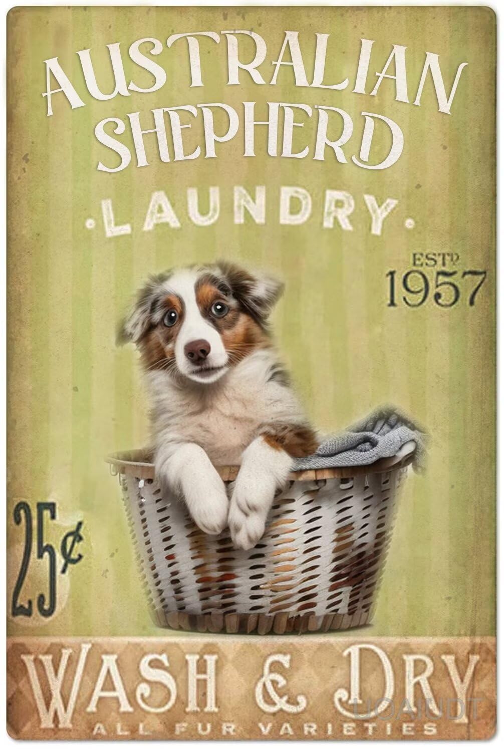 Anceky Laundry Room Decor Diamond Painting Kits for AdultsAustralian Shepherd Laundry 5D Diamond Art Kits for Adults Beginners Dog Wash Dry Full Drill Diamond Gem Art for Home Decor 8X12 Inch