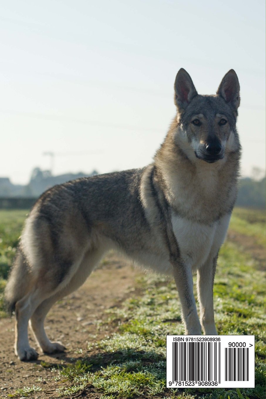 How Much Is A Wolf Dog Cost