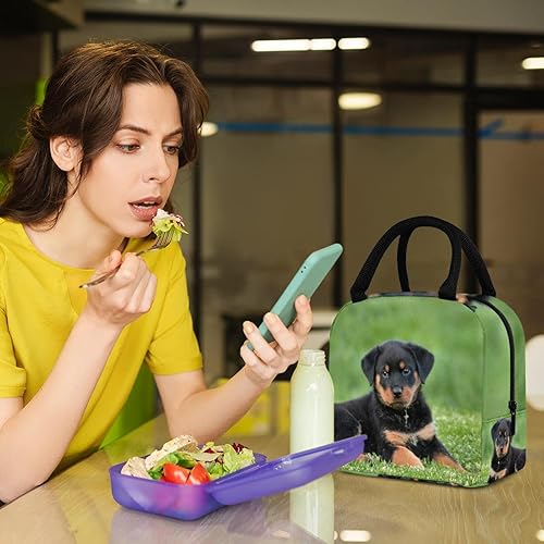 Miniatura 6 de suojapuku Bolsa de almuerzo para mujeres y hombres, lonchera a prueba de fugas, foto de cachorro rottweiler, lonchera portátil reutilizable para