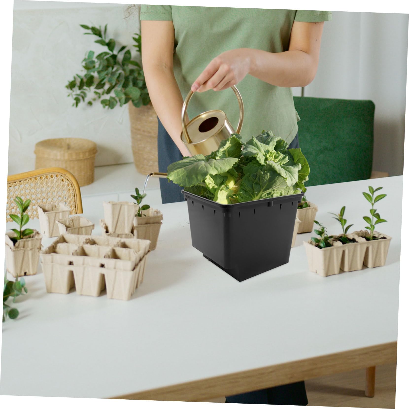 Toyvian 1satz Hydroponisches Anbausystem Für Soilless Culture Für Balkon Und Gewächshaus Praktische Und Pflanzgefäße Für Gesunde Pflanzenpflege