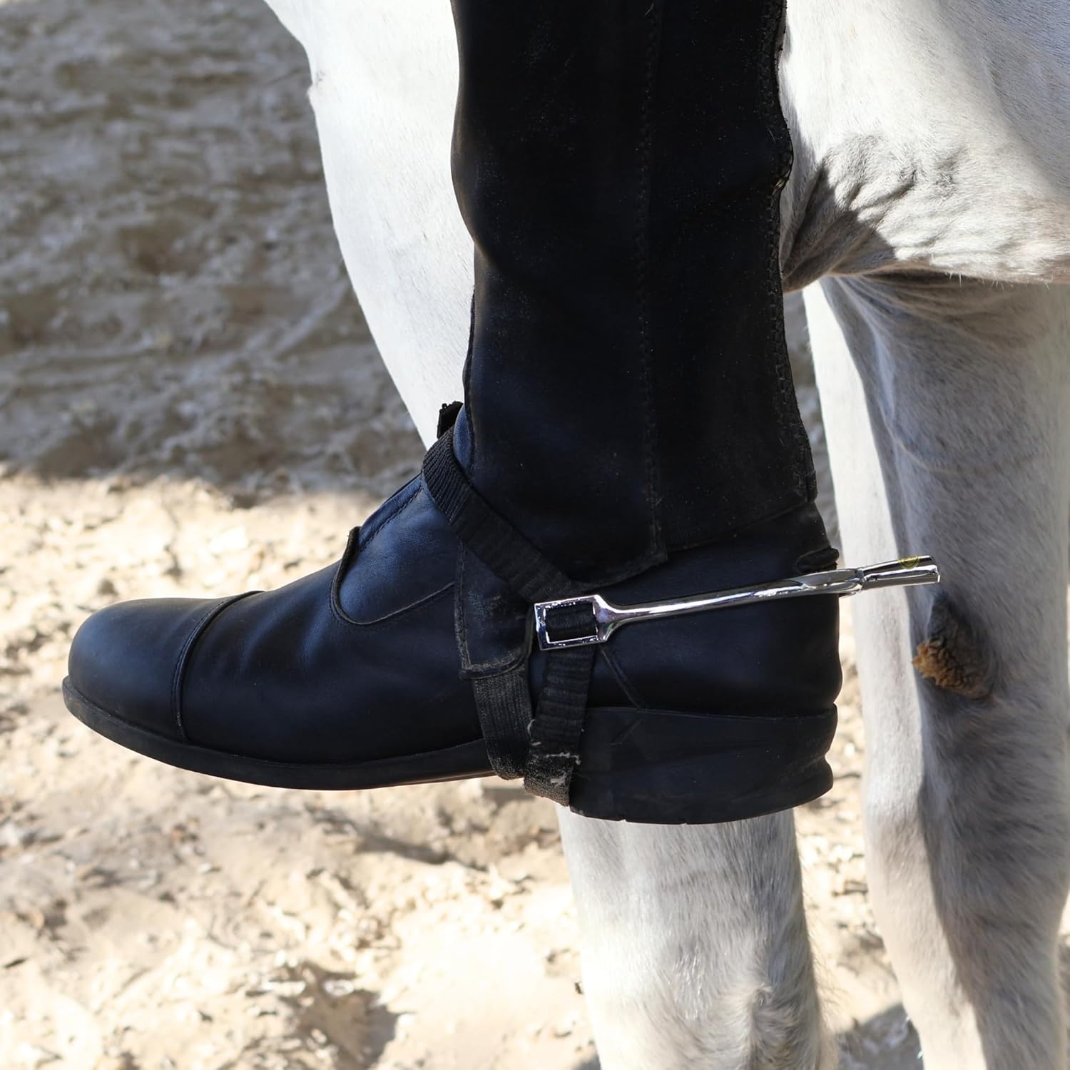 BARN & STABLE Horse Spurs with Adjustable Nylon Straps, Rust-Resistant Nickel-Plated Zinc Alloy, Humane Flat-End Design for Gentle Riding Cues, English Equestrian Training Spurs