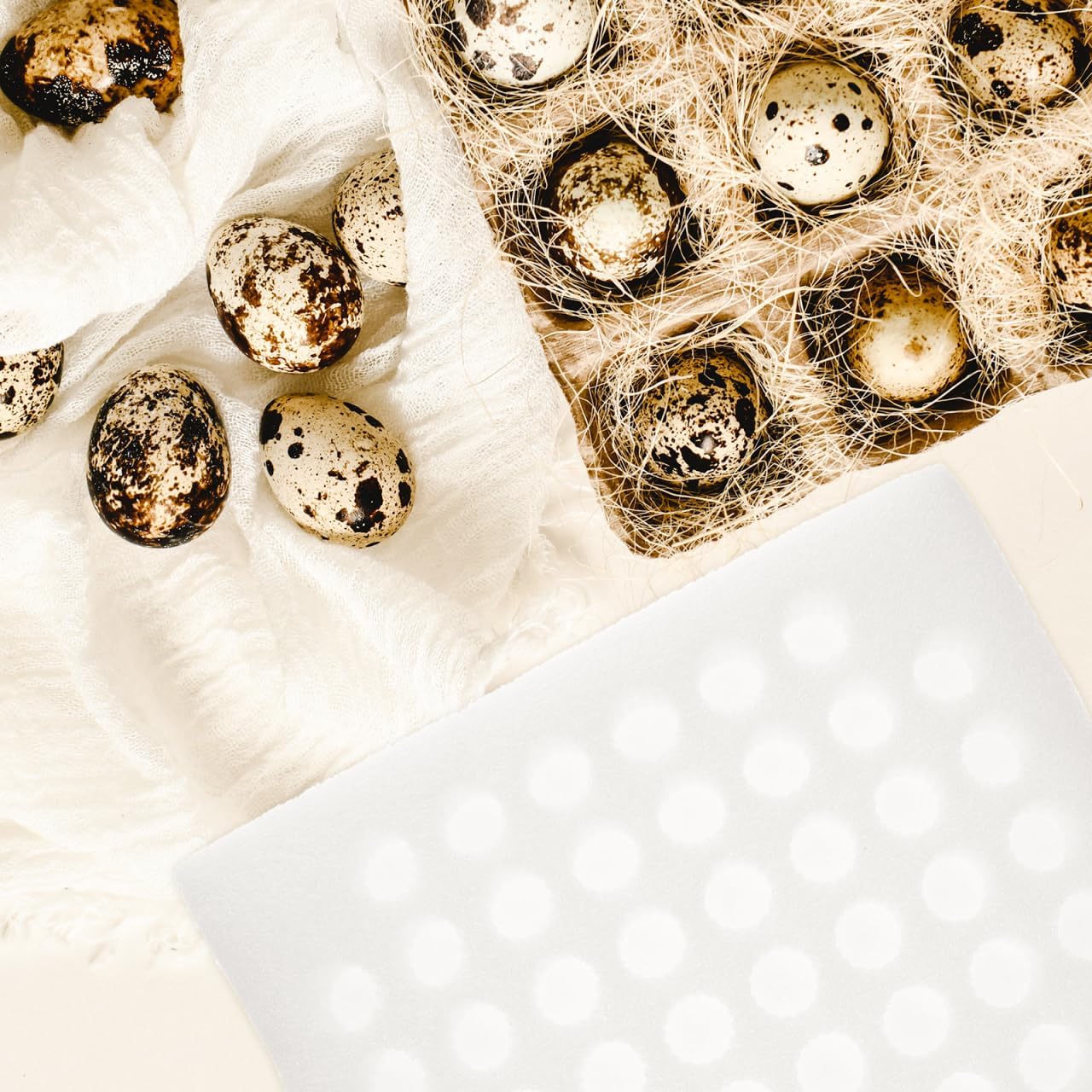Cabilock Pearl Quail Egg Tray Packaging Holder for 52 Eggs Durable Egg Storage Organizer for Countertop Use Protective Quail Eggs Storage and Display Tray 12.16 X 10.82 X 2.36 Inch
