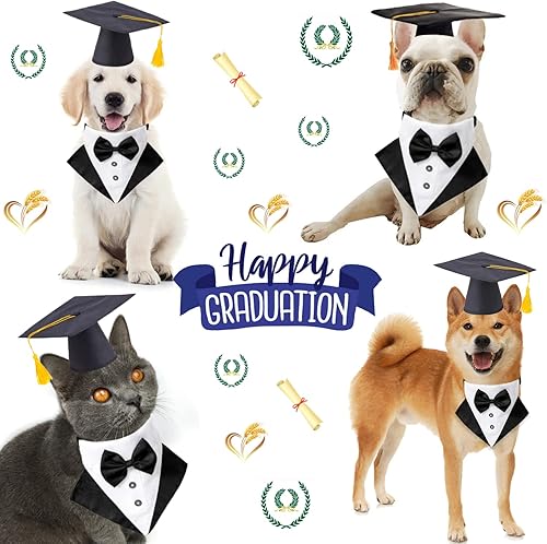 Miniatura 3 de Gorras de graduación para mascotas, juego de collar y sombrero de graduación, accesorio de disfraz de cachorro para perros, gatos, ropa de corbatín