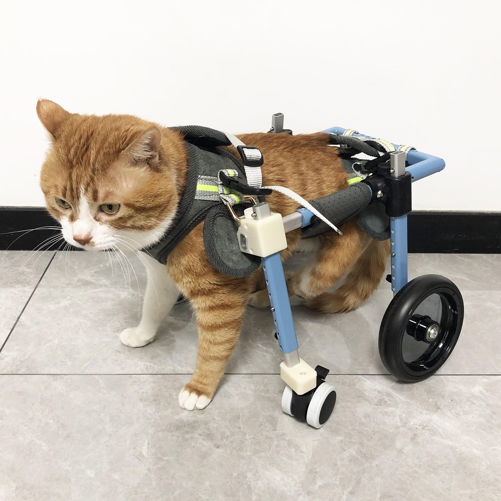 Chariot Chien Handicapé Fauteuil Roulant Réglable à 2 Roues Pour Chat/ Animal De Compagnie, Aide à La Mobilité Pour Chaton Paralysé De La Patte