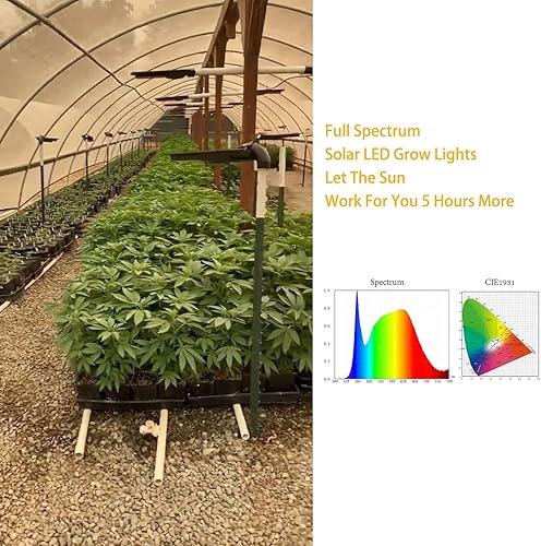 Miniatura 2 de BSOD Luces solares de cultivo para plantas al aire libre, lámpara de invernadero LED de espectro completo inalámbrica con temporizador, control
