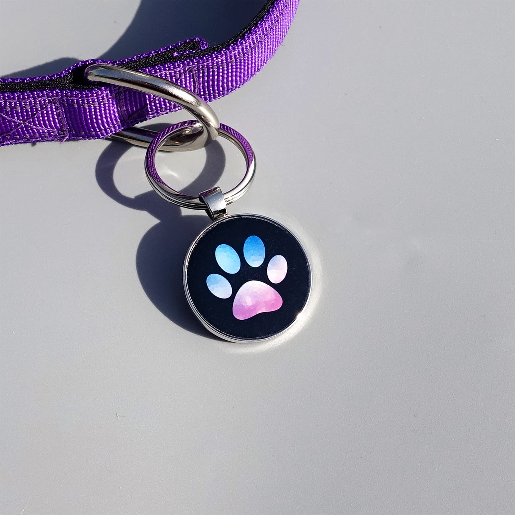 medaillon chien personnalisé，medaille pour chien， Médaille d'identification personnalisable pour animal de compagnie - Affichage d'informations unique - Modifiable