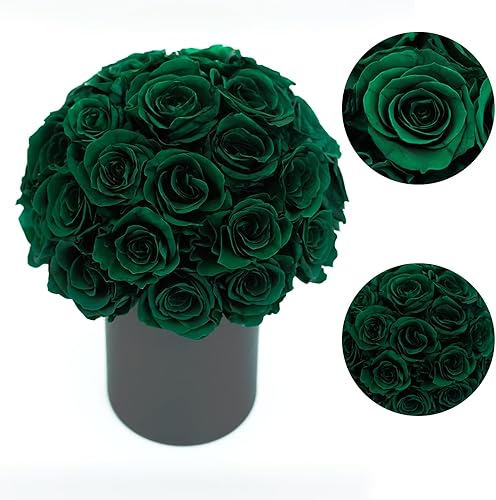 ANLUNOB Regalo de rosas para el día de la madre, ramo de flores preservadas, rosas inmortales que duran tres años, rosa eterna para esposa, regalo