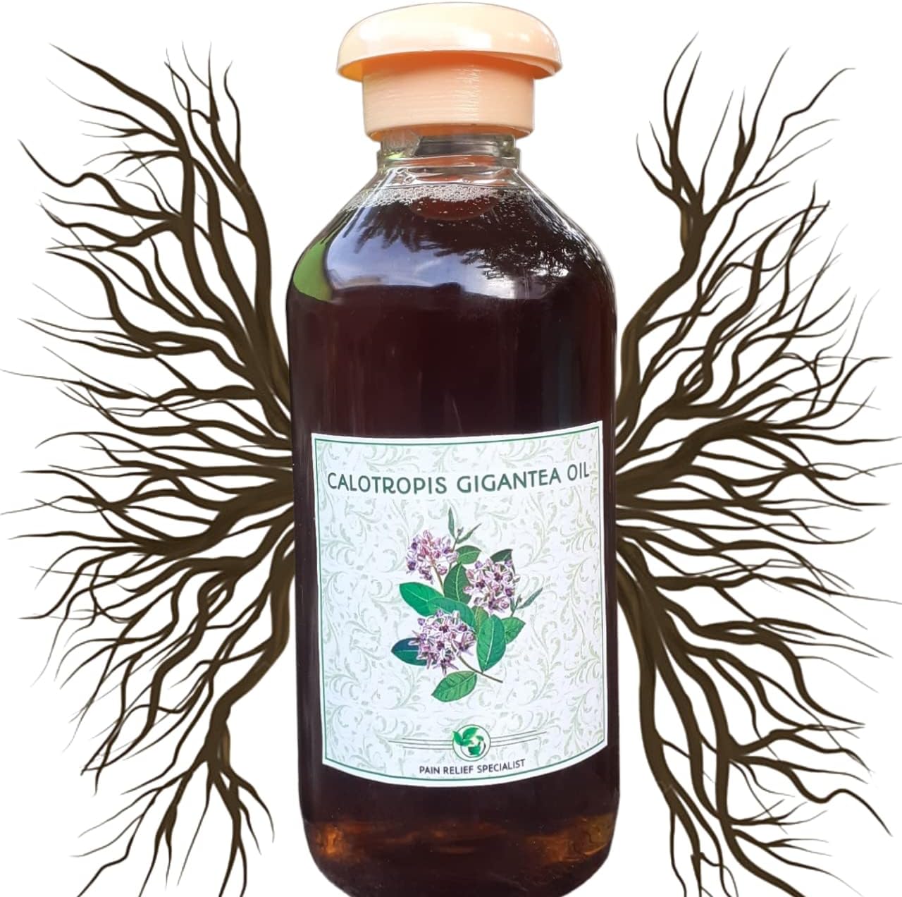 K care - Calotropis Gigantea Root oil/Safed Aak Plant Oil for Joint Pain Relief Ayurvedic oil 250ml Results in 2 day