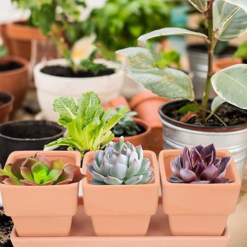 Miniatura 3 de Yardwe 3 macetas de arcilla de terracota cuadradas de cerámica para cactus de cerámica, macetas para suculentas, macetas de vivero, macetas de
